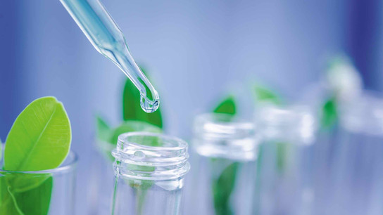 Glass pipettes in front of green plants