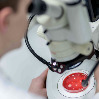 Man bends over the microscope