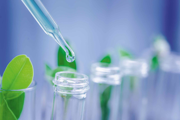 Glass pipettes in front of green plants